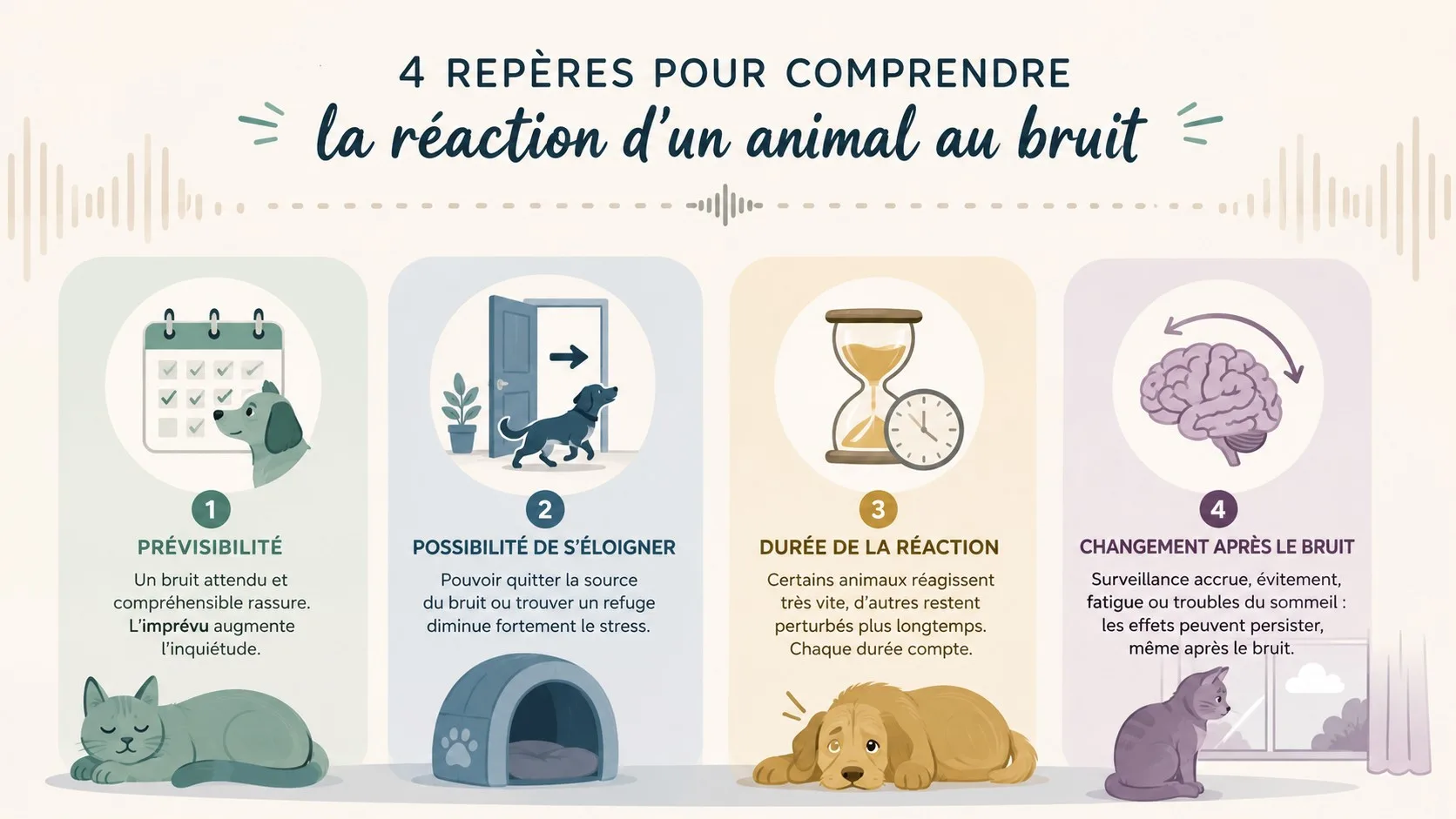 Infographie présentant quatre repères pour lire la réaction d’un animal au bruit